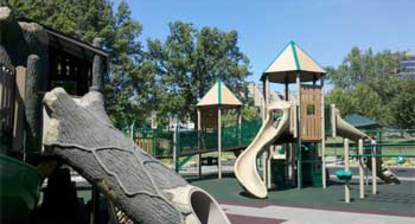 Tree Top Playground - courtesy of Mara Kaplan