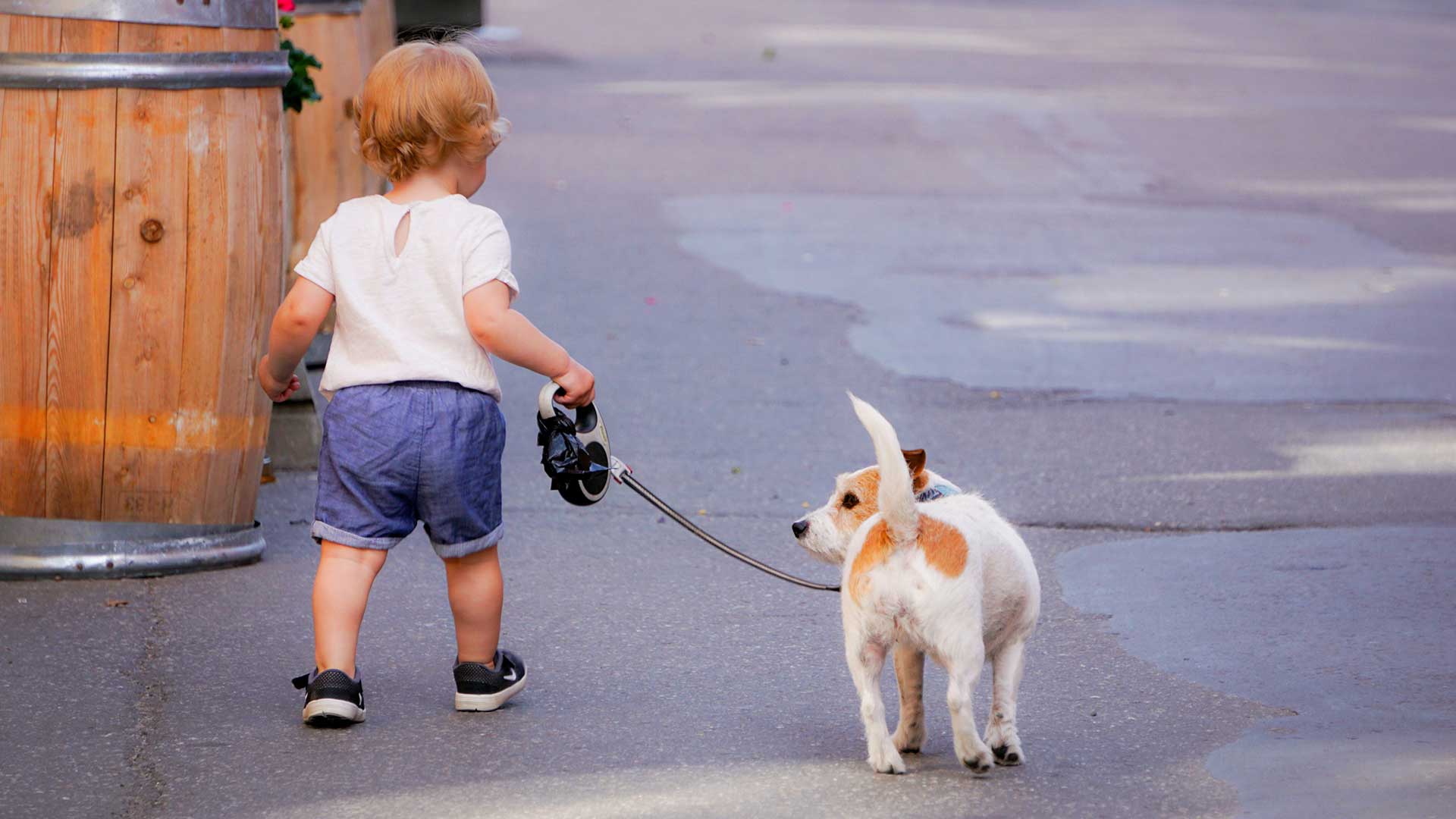Why Dogs Can Change Children's Lives
