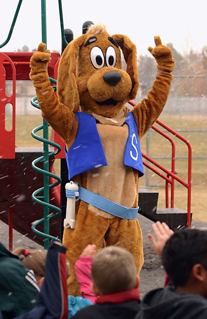 Slyde the Playground Hound Slyde the Playground Hound