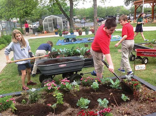 Children gardening in a schoolyard Children gardening in a schoolyard