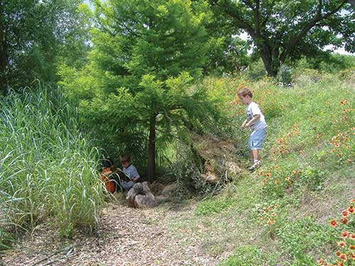 Young boys playing under trees Young boys playing under trees