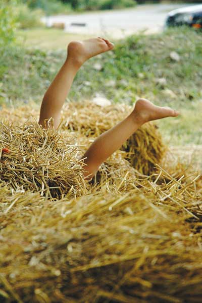 Child's legs sticking out of hay Child's legs sticking out of hay