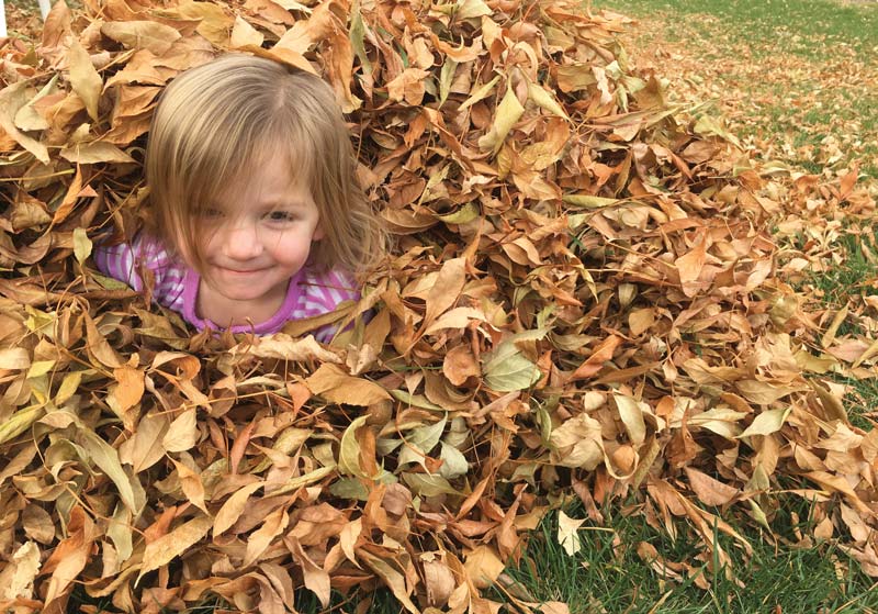 Fall is a fun time to play Fall is a fun time to play