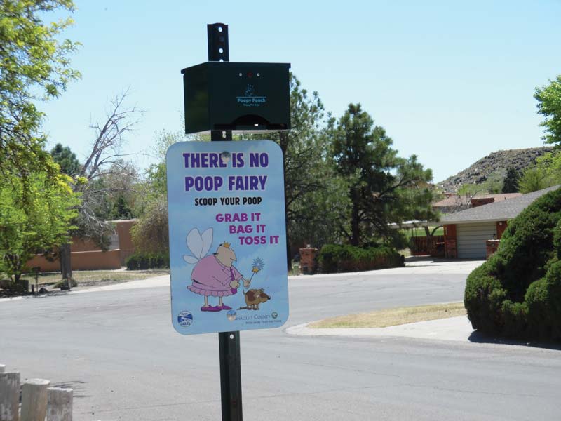 Pick up pet waste Pick up pet waste