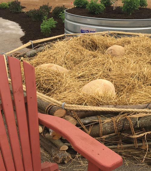 Over-sized robin's nest for children to play in Over-sized robin's nest for children to play in