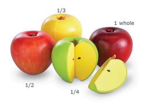 Fruit can be used as examples of fractions