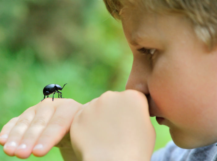 Child with a bug Child with a bug