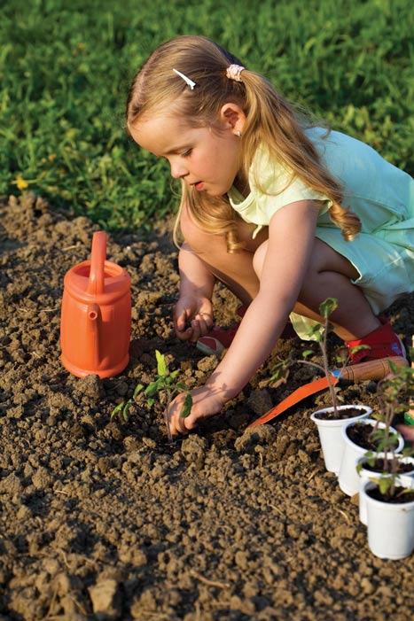 Planting a Garden Planting a Garden