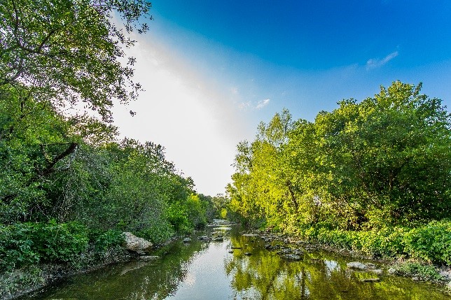 Pease Park in Austin, TX Pease Park in Austin, TX