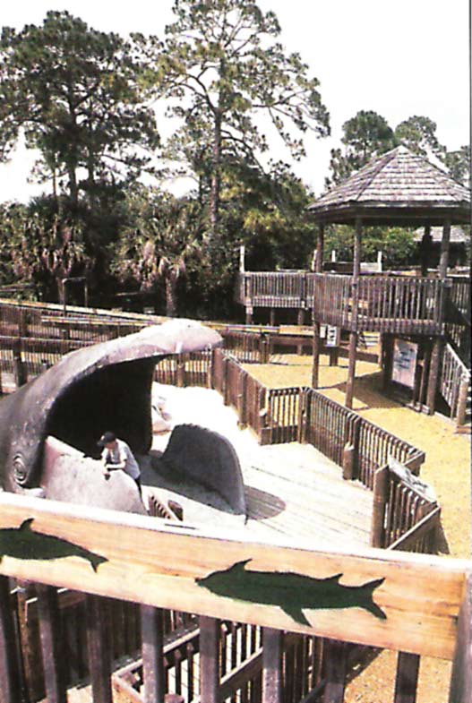 Wooden Wonderland Wooden Wonderland