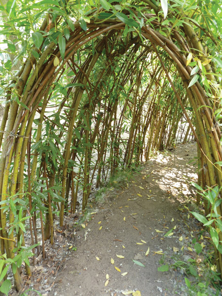 Willow Nook Willow Nook