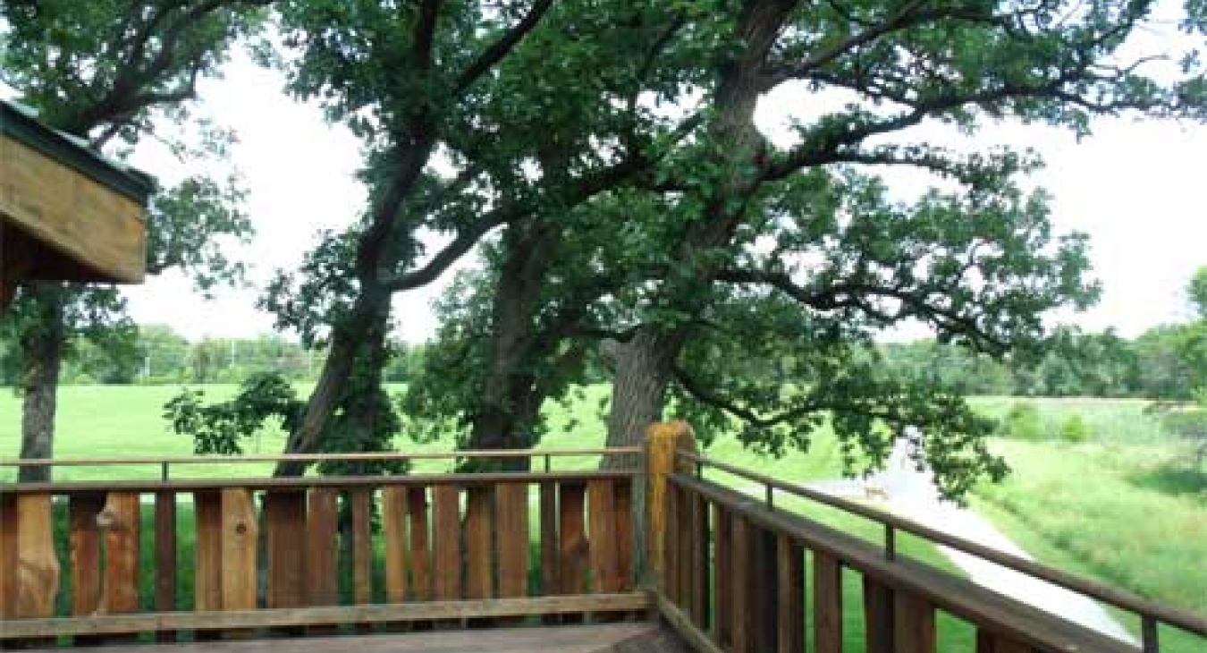 View from an accessible tree-house